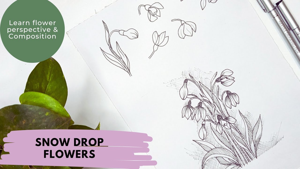 Draw snow drop flowers. Different perspectives of snow drop flowers. Sketching tutorial.