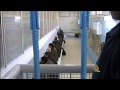 شهر ثانٍ من إضراب الأسرى