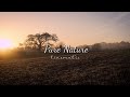 SONY 6600 | Nature Cinematic Video 4k