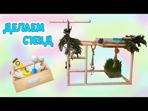 DIY стенд для попугайчика 