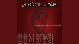 Video thumbnail of "José Tulipán - El Par de Mi Calcetín"