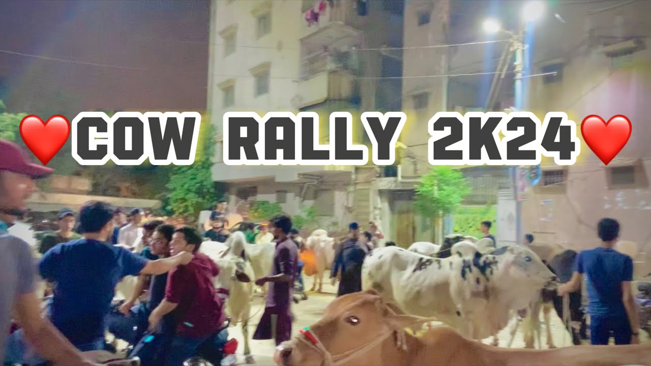 Cow Rally 2k24 ️| Pura road block😆| Second last day🥲 - YouTube