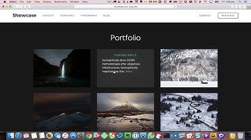 Portfolio Grid on Showcase Pro