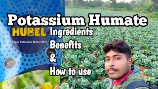 Hubel-Super Potassium Humate 95% Organic Plant Growth Regulator Use and Benefits Resimi