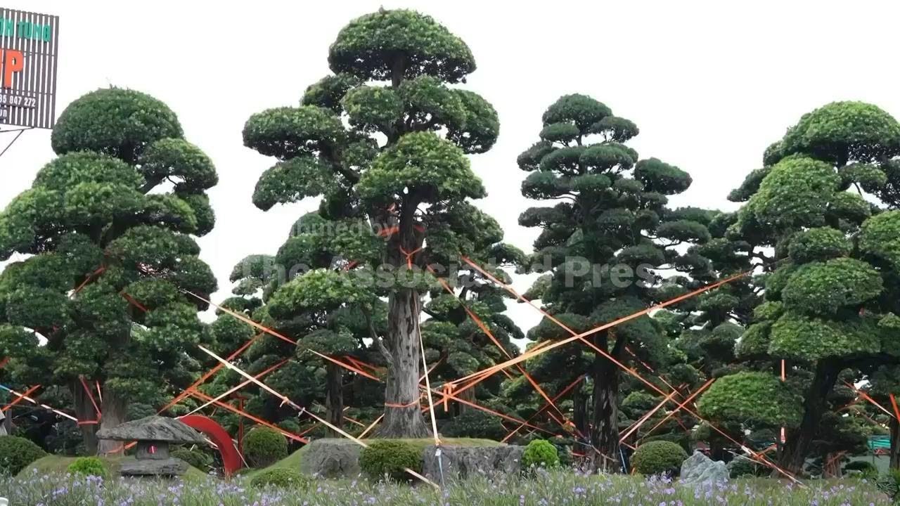 Hanoi streets quiet before tropical storm Wipha hits northern Vietnam
