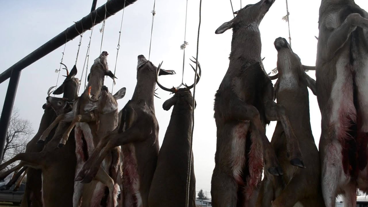 Marion Buck Pole 2012