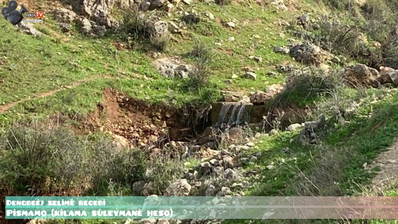 Dengbej Selime Recebi pısmamo ( Süleymane Heso ) arşiv: Cemal Kılıç