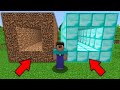 Minecraft NOOB vs PRO: WHICH TUNNEL WILL NOOB CHOOSE? DIRT vs DIAMOND Challenge 100% trolling