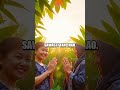 Quick Greetings in Thai