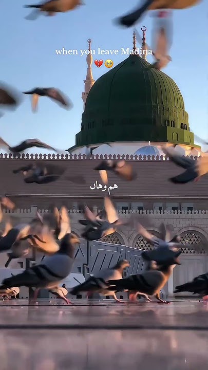 When You Leave Madina islamicshorts youtubeshorts youtuber when-you-leave-madina-islamicshorts-youtubeshorts-youtuber