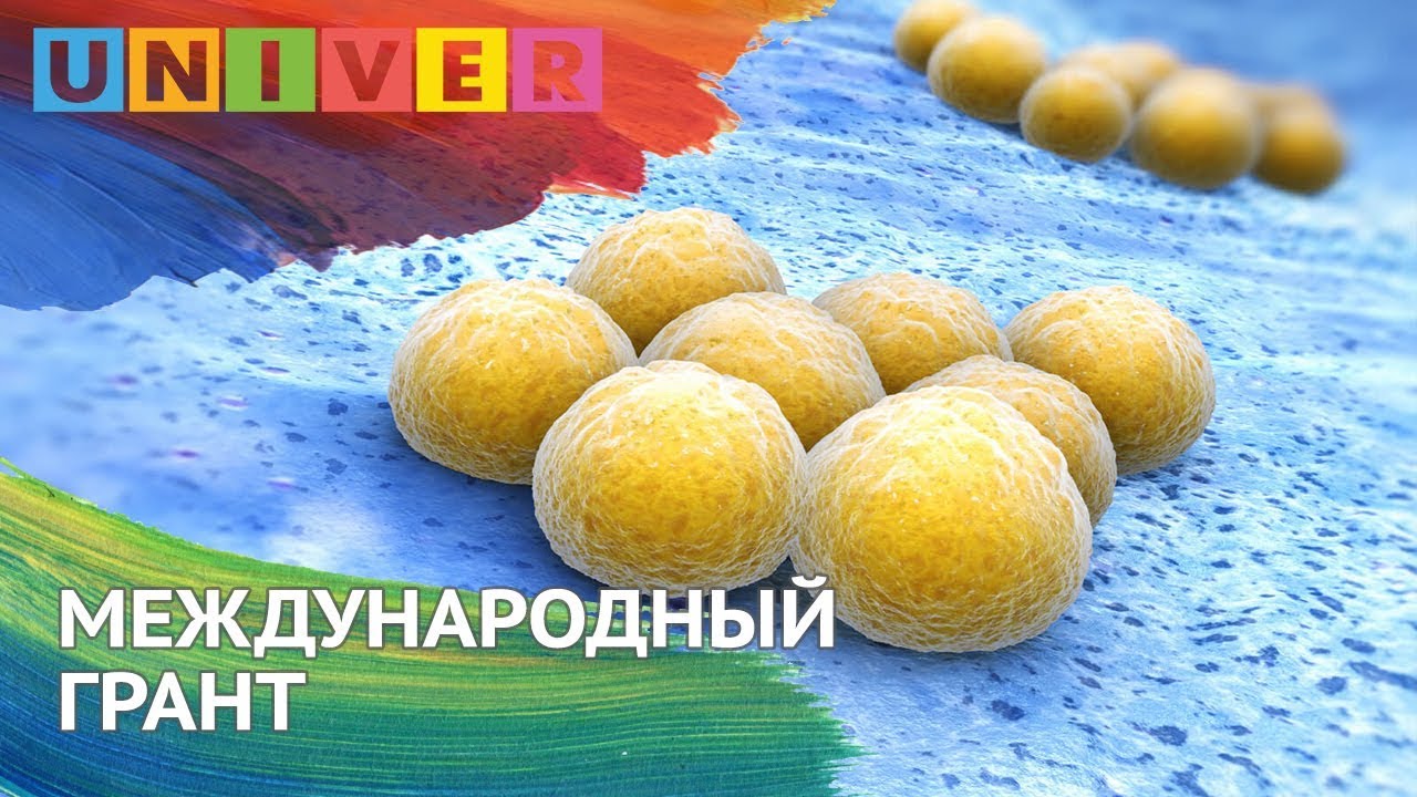 Грант казенному учреждению