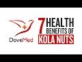 7 health benefits of kola nuts