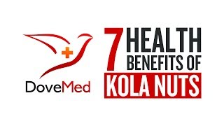 7 Health Benefits Of Kola Nuts