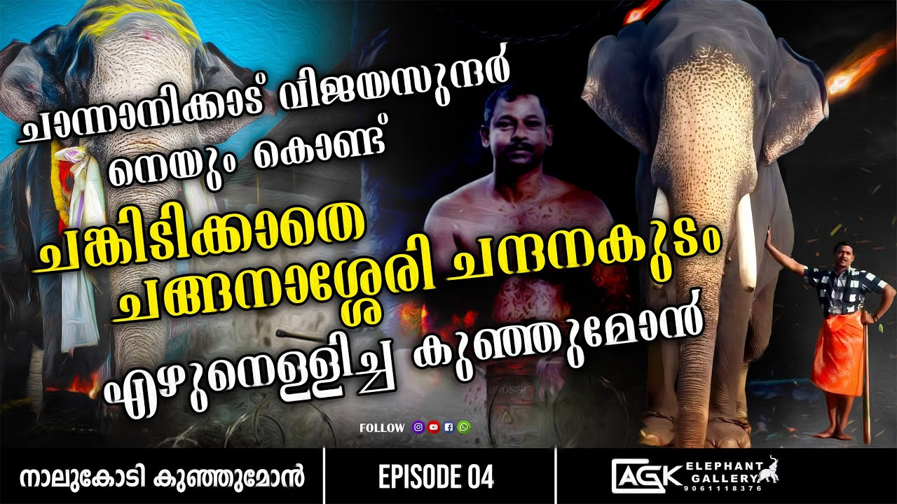 എന്തായിരുന്നു വിജയൻ ഒരു പർവ്വതം  അല്ലെങ്കിൽ ഒരു അഴക് അളവുകളുടെ ഉത്തങ്ങശൃംഗം|നാലുകോടി കുഞ്ഞുമോൻ |EP 4