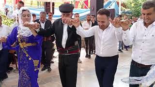 Şırnak akça ailesinin düğünü mutluluklar dileriz 💚 #şirnakdüğünleri #sırnak #video #düğün