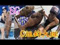 【香港釣魚】《SG帶住C姐釣大斑》