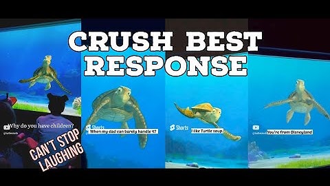 CRUSH BEST RESPONSE | Turtle talk with crush 😃