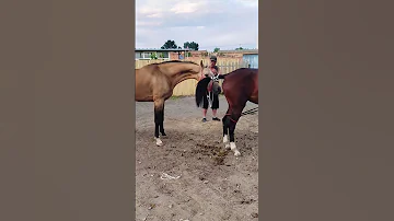 If You Allow No Kicking Or Making Trouble If You Don T Allow 