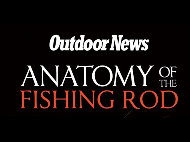 Anatomy of the Fishing Rod 