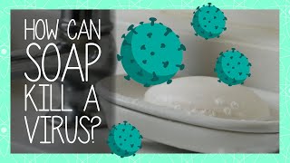 How Can SOAP Kill a Virus?