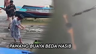 Download Lagu Pawang Buaya Kalimantan Tantang Buaya di Air #buaya #kalimantan MP3