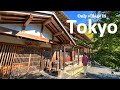 Staying The Only Village in Tokyo, 90 Minutes from Shinjuku | Hinohara Village | JAPAN TRAVEL VLOG