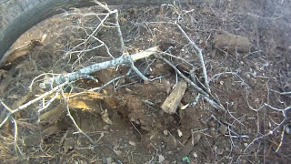 10 Lbs. Of Tannerite VS Tree VS 2012 F150!!