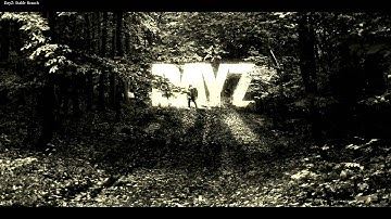 ༼ つ ◕_◕ ༽つ Cant respawn - DayZ Standalone