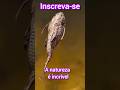 a natureza é incrível #curiosidades