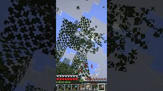 Farming a Double Chest of Birch Leaves | DC shorts #210