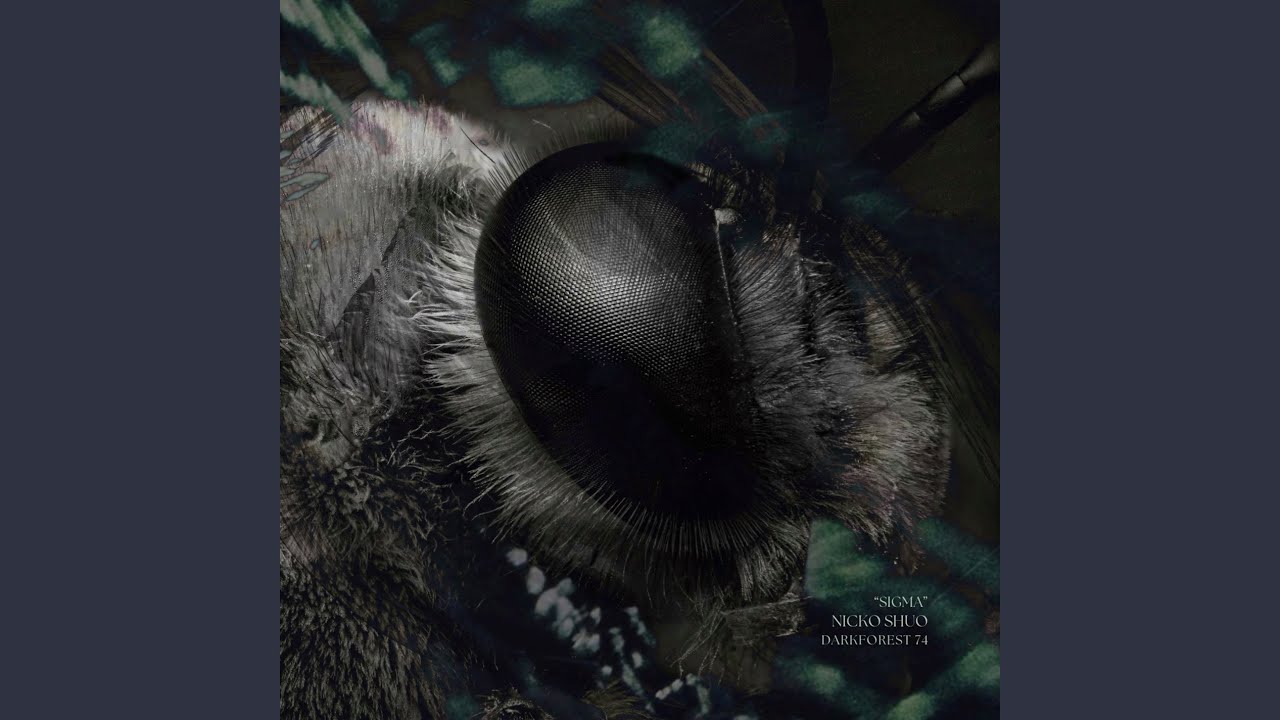 Watch Sigma 003 on YouTube Watch Sigma 003 on YouTube