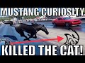 COCKY HELLCAT OWNER EATS OWN WORDS AFTER LOSING TO 2018 MUSTANG GT!