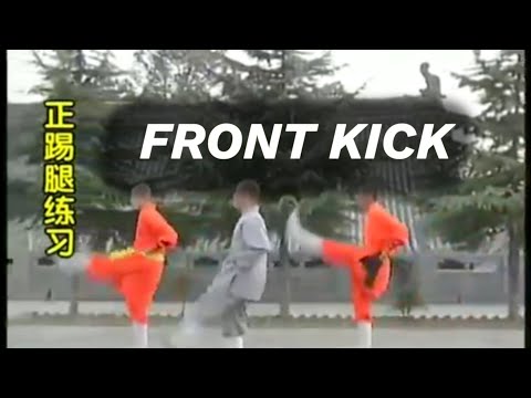 10. Shaolin  Front Kick - Learn Shaolin kung fu Basic skill