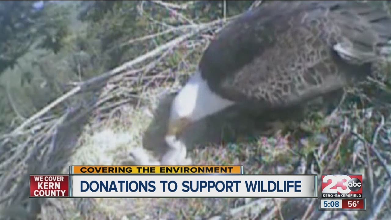 California Department of Fish and Wildlife asking for you help - YouTube