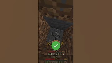 Minecraft, But I Speedrun a RANDOM Block!