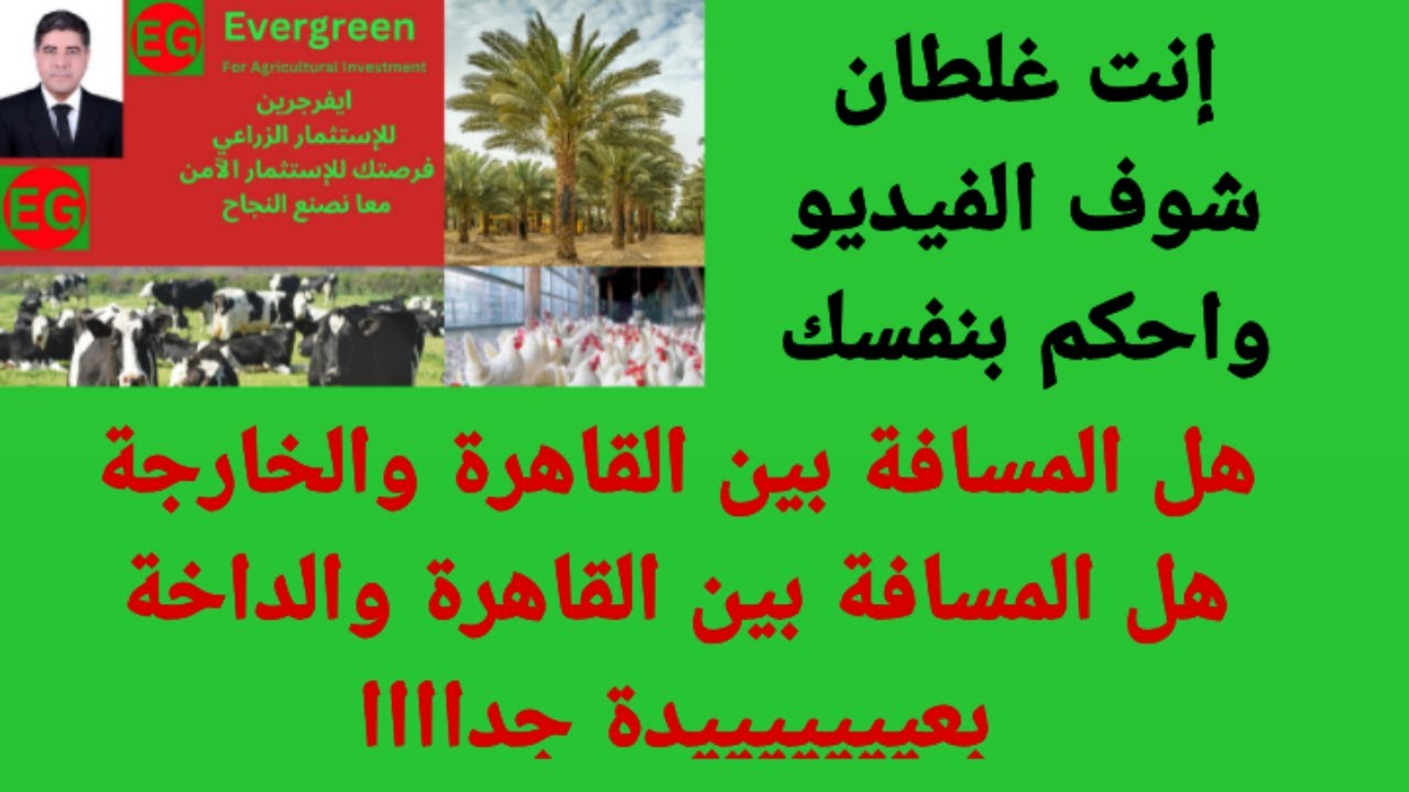 هل المسافة بين القاهرة والخارجة وبين القاهره والداخلة بعيدة؟ دكتور مسعد قشوش 00201211087378