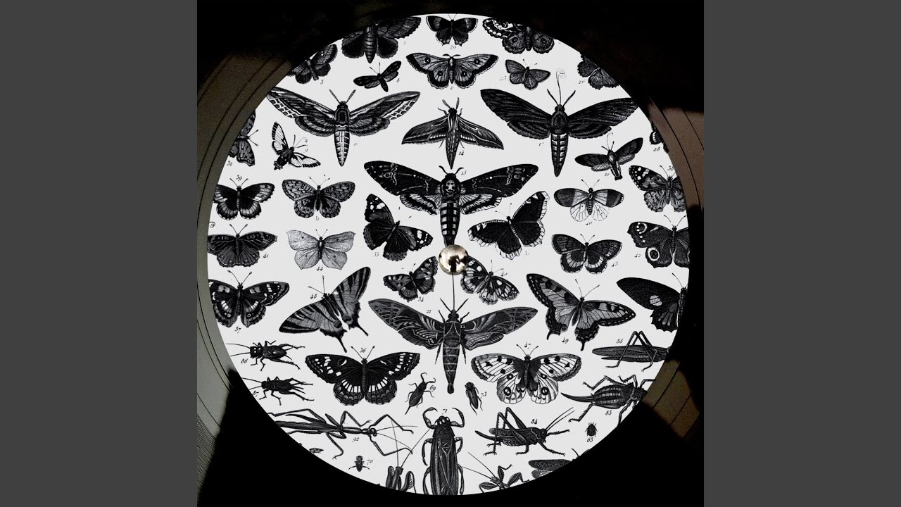 Παρακολούθηση Imperfection (James Welsh Remix) στο YouTube Παρακολούθηση Imperfection (James Welsh Remix) στο YouTube