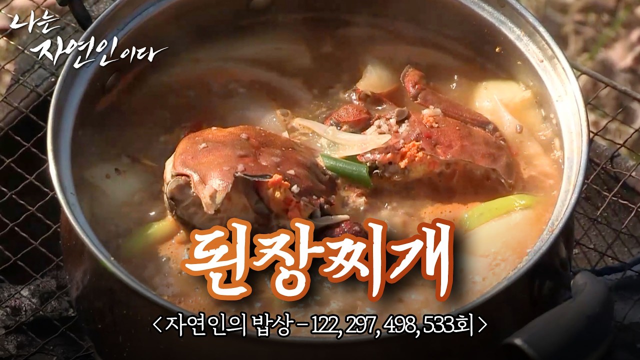"된장은 배신한 적이 없지" 구수하게 끓여낸 된장찌개 모음집 🥘|자연인의 밥상