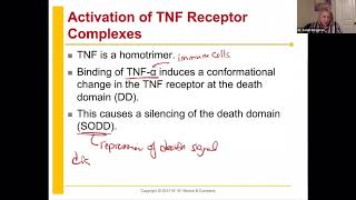 Chem 435 Chapter 8 Section 4 Pre recorded Lecture