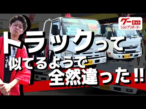 Trucks may not look different at first glance, but their