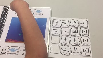 Where are the Zoo Animals? adapted book at theautismhelper.com