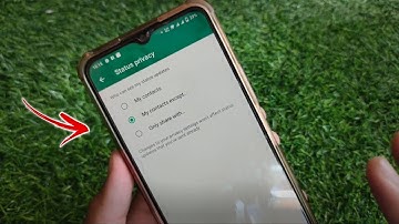 Whatsapp Privacy Setting Mean My Contacts , My Contacts Except , Only Share With