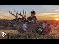 Giant piebald buck with a bow  illinois ruthunt bowhunting hunting whitetaildeer