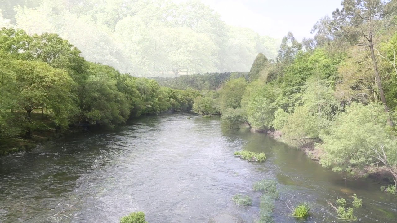 Coto Ximonde.Río Ulla.Galicia.