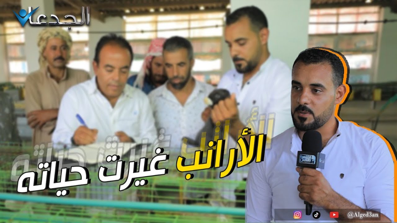 هشام المصري.. غيرت الأرانب حياته بنسبة ١٨٠ درجة.. من ٥٠ أم بقوا ٢٩٠ منتجين