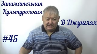 Занимательная Культурология #45 В Джунглях