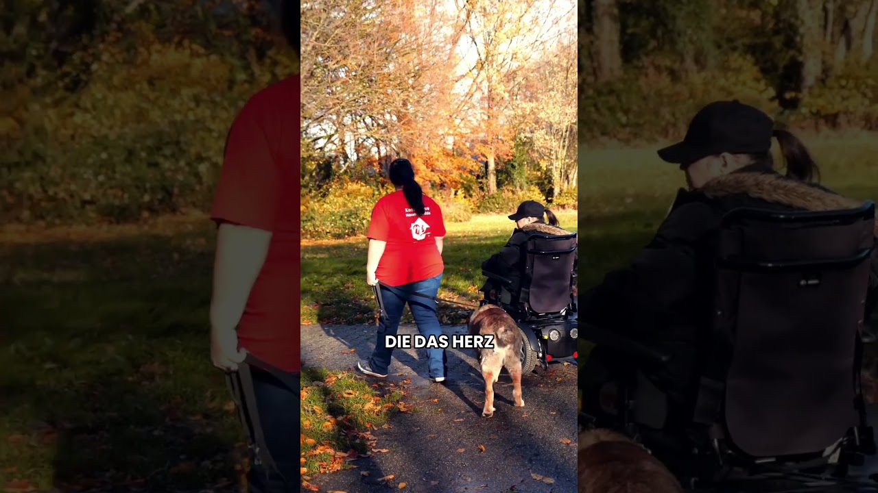 Tolle Vorteile für Angestellte der Agentur für Haushaltshilfe