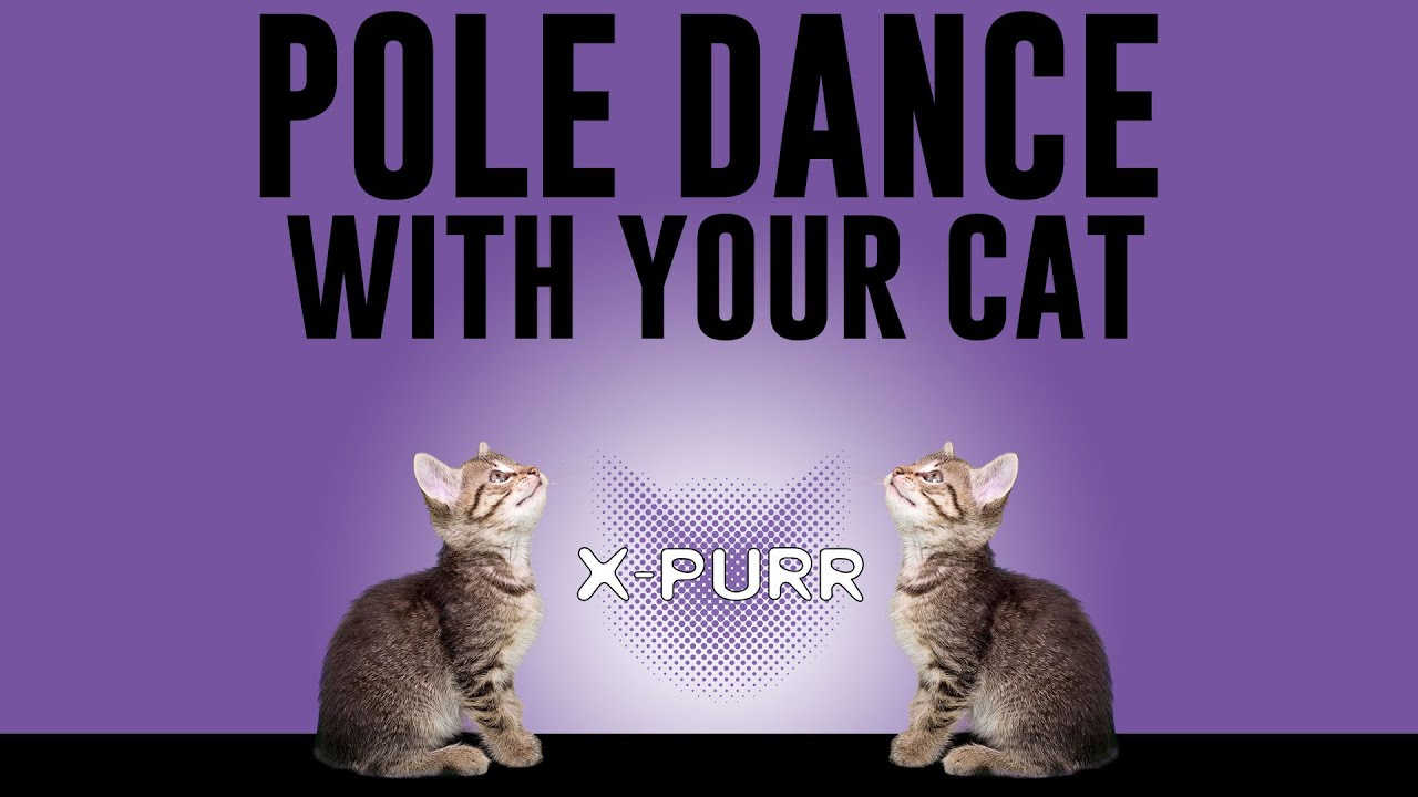 X-Purr: The First "Fitness Pole" Scratching Post for Cats XPurr