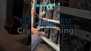 ASIC Miners for $BTC, $KAS &amp; $ALEO – 24/7 Monitoring! #icerivereu #crypto  #asicminer #cryptomining