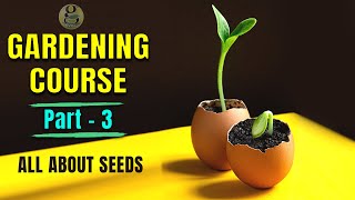 COMPLETE GARDENING COURSE FOR BEGINNERS – PART 3 | SEEDS GERMINATION TIPS by GARDEN TIPS 4,891 views 2 months ago 38 minutes